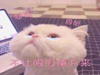 成都达界乾科技有限公司