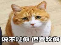 成都达界乾科技有限公司