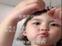 成都达界乾科技有限公司