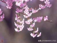 成都达界乾科技有限公司
