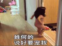 成都达界乾科技有限公司