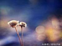 成都达界乾科技有限公司