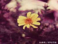 成都达界乾科技有限公司