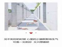 成都达界乾科技有限公司