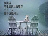 成都达界乾科技有限公司