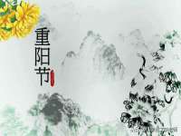 成都达界乾科技有限公司