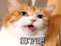 成都达界乾科技有限公司