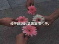 成都达界乾科技有限公司