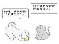 成都达界乾科技有限公司