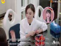 成都达界乾科技有限公司