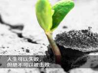 成都达界乾科技有限公司