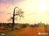 成都达界乾科技有限公司