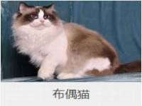 成都达界乾科技有限公司