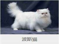 成都达界乾科技有限公司