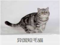 成都达界乾科技有限公司