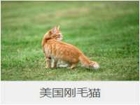 成都达界乾科技有限公司