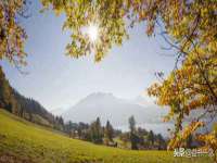 成都达界乾科技有限公司