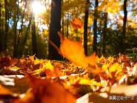 成都达界乾科技有限公司