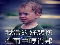 成都达界乾科技有限公司