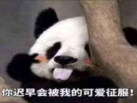成都达界乾科技有限公司