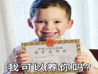 成都达界乾科技有限公司