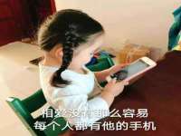 成都达界乾科技有限公司