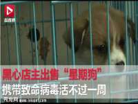 成都达界乾科技有限公司