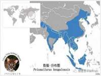 成都达界乾科技有限公司