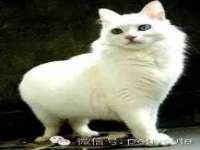 成都达界乾科技有限公司
