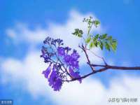 成都达界乾科技有限公司