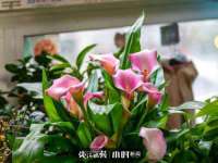 成都达界乾科技有限公司