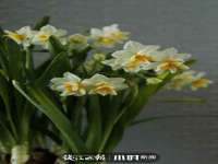 成都达界乾科技有限公司