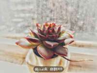 成都达界乾科技有限公司