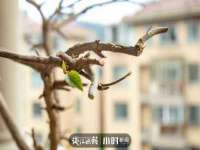 成都达界乾科技有限公司