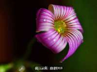 成都达界乾科技有限公司