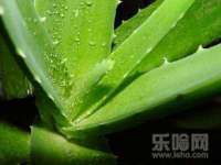 成都达界乾科技有限公司
