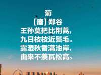 成都达界乾科技有限公司