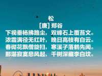 成都达界乾科技有限公司