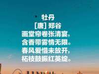 成都达界乾科技有限公司