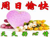 成都达界乾科技有限公司