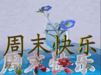 成都达界乾科技有限公司