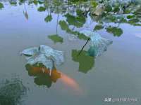成都达界乾科技有限公司