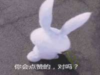 成都达界乾科技有限公司