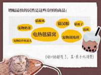 成都达界乾科技有限公司