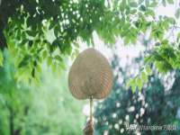 成都达界乾科技有限公司