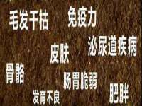 成都达界乾科技有限公司