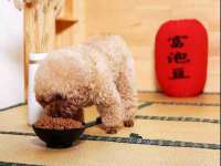 成都达界乾科技有限公司