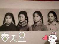 成都达界乾科技有限公司