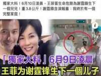 成都达界乾科技有限公司
