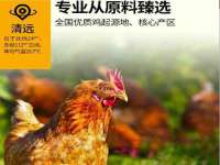 成都达界乾科技有限公司